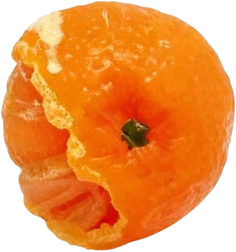 Peelable Orange Squishy